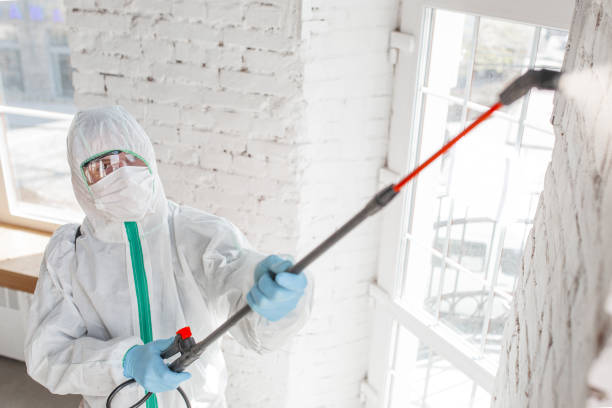 Best Residential Mold Remediation in Mount Sterling, KY
